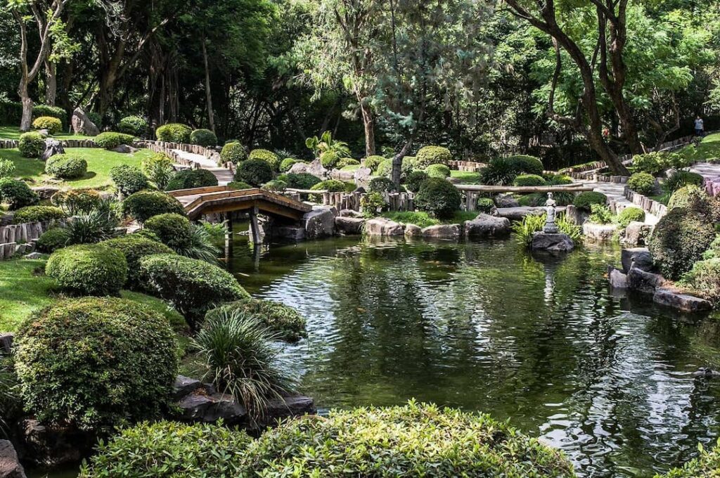 Bosque Los Colomos